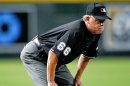 MLB Umpire Jim Joyce Saves Life at Game With CPR
