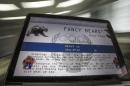 FILE - This Wednesday, Sept. 14, 2016, file screenshot shows the Fancy Bears website fancybear.net on a computer screen in Moscow, Russia. Having made their name by breaching a World Anti-Doping Agency database, the so-called 