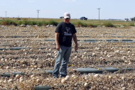 Eric Jensen walks a field with rotting cantaloupes on the Jensen Farms near Holly, Colo., on Wednesday, Sept. 28, 2011. Eric and his brother Ryan own Jensen Farms that has been identified as the source of the national listeria outbreak that has killed more than a dozen people so far. (AP Photo/Ed Andrieski)