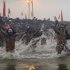 Indian Hindu holy men, or Naga Sadhus, run naked into the water at Sangam, the confluence of the Ganges, Yamuna and mythical Saraswati river, during the royal bath on Makar Sankranti at the start of the Maha Kumbh Mela in Allahabad, India, Monday, Jan. 14, 2013. Millions of Hindu pilgrims are expected to take part in the large religious congregation that lasts more than 50 days on the banks of Sangam which falls every 12 years. (AP Photo/Kevin Frayer)