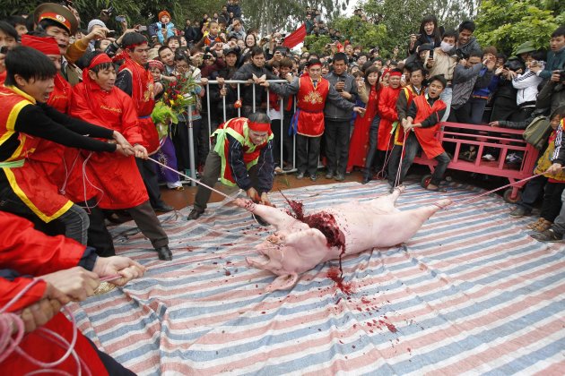 A participant hacks a pig with a sword during a festival at the Nem Thuong village in Bac Ninh