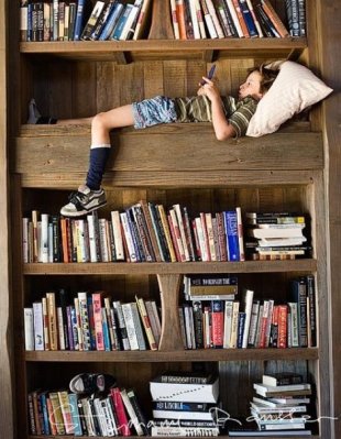 Sleeping Amongst the Books