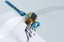 Scientists are turning dragonflies into tiny cyborg drones