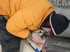 Champion Martin Buser kisses one of his dogs before the re-start of the Iditarod dog sled race in Willow