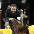 Adam Bernardin reacts as Shadagee Caught Red Handed, an Irish setter, is declared the Best of Sporting Group at the 136th annual Westminster Kennel Club dog show in New York, Tuesday, Feb. 14, 2012.  (AP Photo/Seth Wenig)