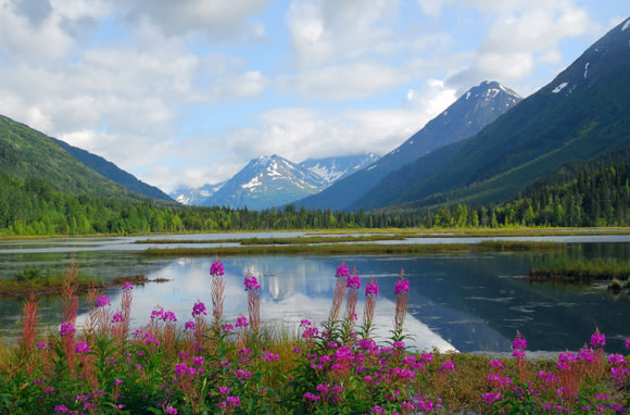 Alaska (Photo: Shutterstock/Lone Wolf Photos)