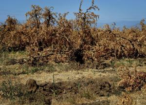 Californians struggle for 'normal life,' without water Part-WAS-Was8941070-1-1-0