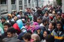 The mass influx of asylum seekers into Germany stopped after several Balkans transit countries shuttered their borders and the EU reached a deal with Turkey to stop arrivals to the Greek islands
