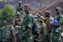 Democratic Republic of Congo (FARDC) soldiers deployed near Goma on September 4, 2013