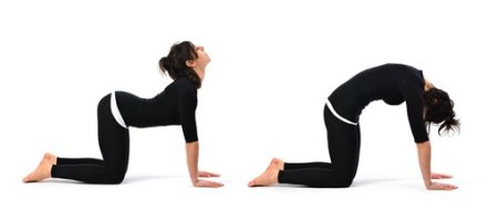 Chăm sóc đời sống tình dục bằng yoga3