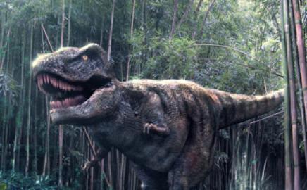 Jejak Kaki Dinosaurus Ratusan Juta Tahun Silam Ditemukan