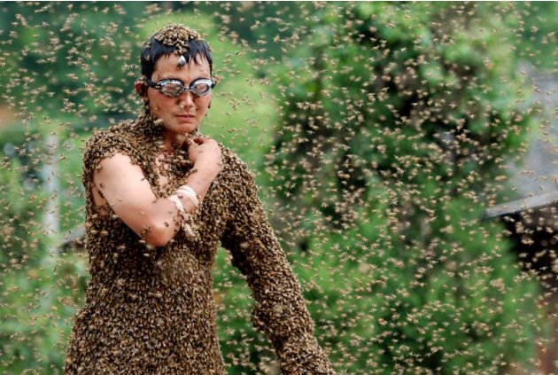 L'apicoltore Wang Dalin, vincitore della gara di Bee bearding