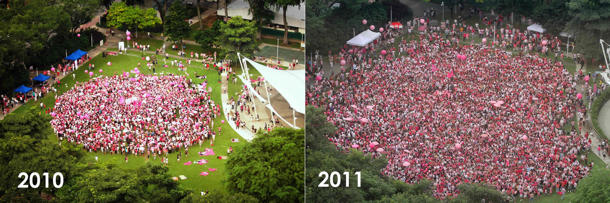 Pink-Dot-2010-vs-2011.jpg