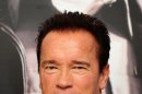 Arnold Schwarzenegger could play the bad guy in Avatar 2