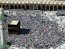 Saudi officials have downplayed the possibility that a possible deadly virus outbreak could affect the Hajj
