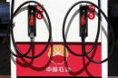 File picture shows a PetroChina logo at a gas station in Beijing