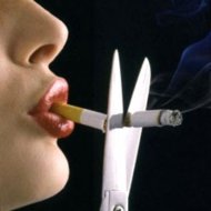 Contek Selandia Baru untuk Basmi Tembakau