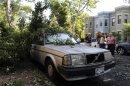 People survey storm damage in the Capitol Hill neighborhood in Washington