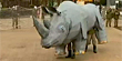 Zookeepers rehearse rhino escape (AP)