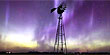 Aurora borealis lights up Minnesota sky (AP / Photo: Stormchasingvideo.com)