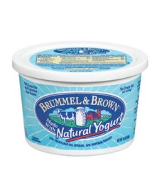 Brummel & Brown Made With Nonfat Yogurt