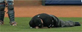 Jerry Layne lies on the ground after getting hit with a broken bat. (MLB video)