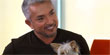 Cesar Millan offers advice on adopting dogs (Animal Nation)