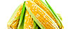 Myths about sweet corn (Thinkstock)