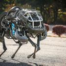 Dog robots now under the care of Google X