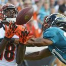Cincinnati Bengals wide receiver A.J. Green, left, catches a pass for a 42-yard gain in front of Jacksonville Jaguars cornerback Rashean Mathis during the first half of an NFL football game, Sunday, Sept. 30, 2012, in Jacksonville, Fla. (AP Photo/Phelan M. Ebenhack)