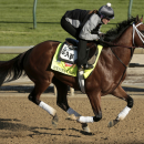 Kentucky Derby hopeful Stanford is ridden by exercise rider Isabelle Bourez during a morning workout at Churchill Downs Tuesday, April 28, 2015, in Louisville, Ky. (AP Photo/Charlie Riedel)