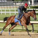 Triple Crown hopeful American Pharoah, Martin Garcia up, breezes at Churchill Downs in Louisville, K.Y, Tuesday, May 26, 2015. (Churchill Downs/Reed Palmer Photography via AP) NO SALES