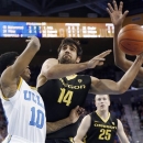 Oregon forward Arsalan Kazemi (14) shoots as UCLA guard Larry Drew II (10) defends in the first half of an NCAA college basketball game in Los Angeles, Saturday, Jan. 19, 2013. (AP Photo/Reed Saxon)