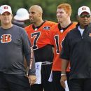 Cincinnati Bengals head coach Marvin Lewis, right, watches practice with offensive coordinator Jay Gruden, left, and quarterbacks Bruce Gradkowski (7) and Andy Dalton during NFL football training camp on Saturday, July 28, 2012, in Cincinnati. (AP Photo/Al Behrman)