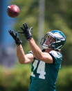 Philadelphia Eagles wide receiver Riley Cooper stretches for a pass but comes up short as he runs through drills at NFL football training camp in Philadelphia, Friday, July 26, 2013. (AP Photo/The News Journal, Suchat Pederson)