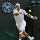 Juan Martin Del Potro of Argentina returns to Andreas Seppi of Italy during their Men's singles match at the All England Lawn Tennis Championships in Wimbledon, London, Monday, July 1, 2013. (AP Photo/Sang Tan)
