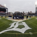 Detroit Tigers warms up during workout at Comerica Park in Detroit, Friday, Oct. 26, 2012. The Tigers host the San Francisco Giants in Game 3 of baseball's World Series on Saturday. The Giants lead the best-of-seven games series 2-0. (AP Photo/Patrick Semansky)