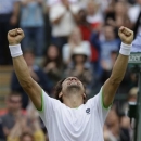 David Ferrer of Spain reacts after defeating Alexandr Dolgopolov of Ukraine in their Men's singles match at the All England Lawn Tennis Championships in Wimbledon, London, Saturday, June 29, 2013. (AP Photo/Anja Niedringhaus)