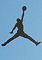 Air Jordan logo