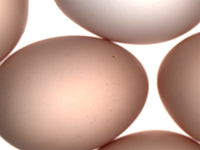 فوائد ومضار البيض Eggs