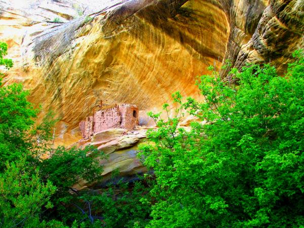 ادخل وشاهد بيوت الهنود الحمر Anasazi+Ruins+by+Rick+Schafer-cliff_dwelling_near_cave_7600_450