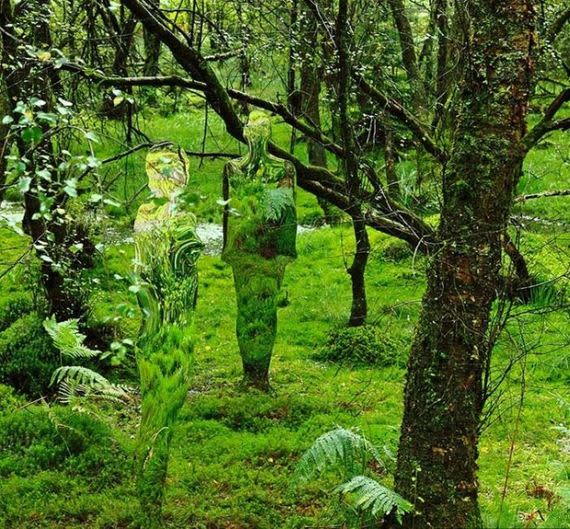 تماثيل زجاجيه الغابات لاخافه السياح