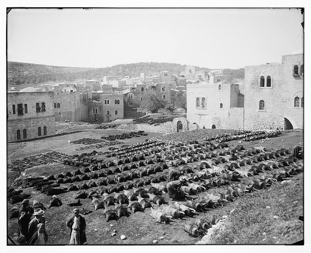 صور قديمة للمدن الفلسطنية  Hebron-15660