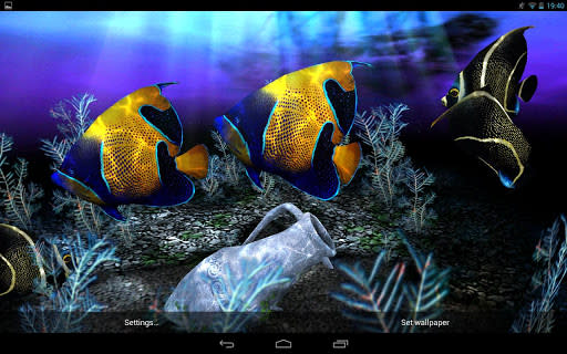 خلفيات متحركة My 3D Fish II  SZUoGPjXbOw8MWCjEZi47KZKYENfRXOG5kUNERa7KHLXAn4GfB5IkmD3RHziMVVOeQ