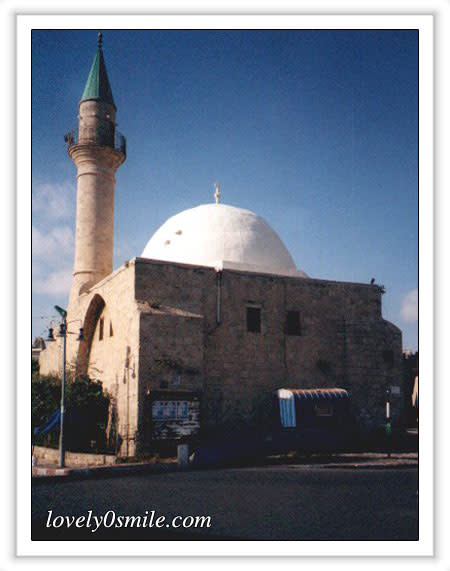 مدينة عكا الفلسطينية