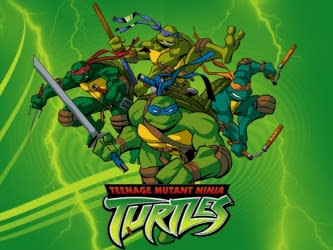لعبة القتال والاثارة Teenage Mutant Ninja Turtles Tmnt+2003