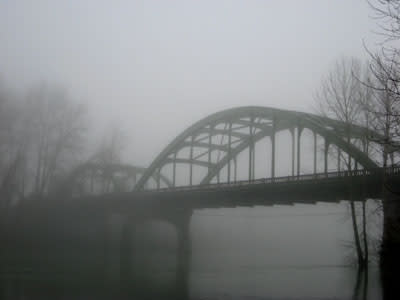 مواعظ الطبيعة.... Picture-oregon-city-or-bridge-in-fog