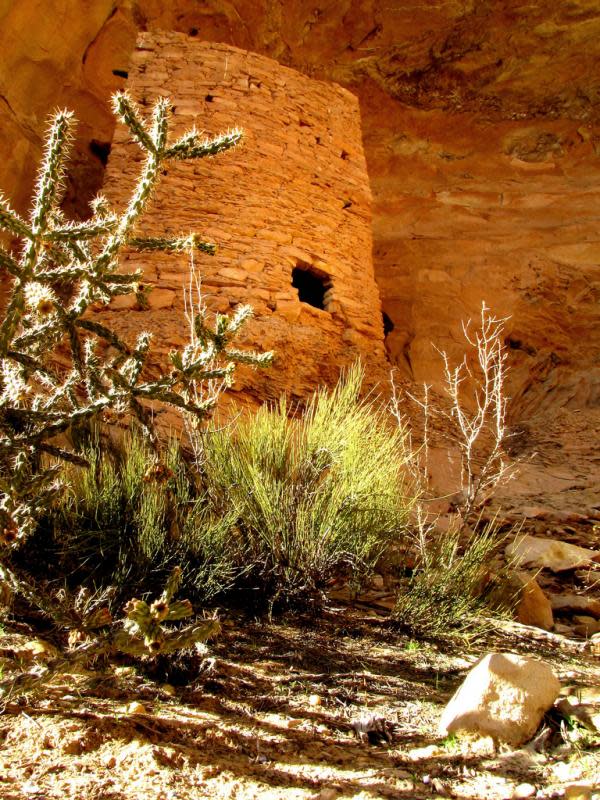 ادخل وشاهد بيوت الهنود الحمر Anasazi+Ruins+by+Rick+Schafer-tower_house600_800