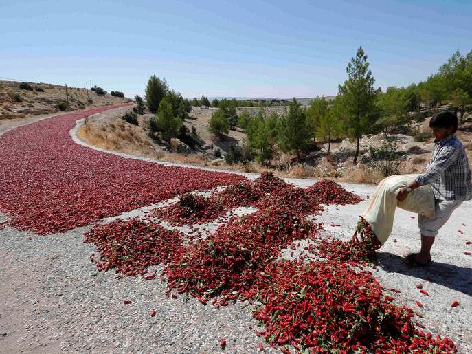 طريق الفلفل الأحمر في تركيا Db4da673-cd39-457e-90c9-438a4bd884e8_4x3_690x515