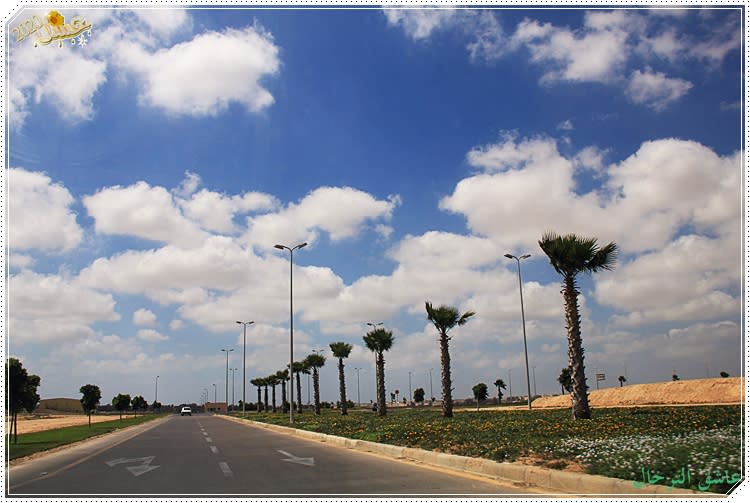 مطار برج العرب الدولي - الاسكندرية  1%2520223